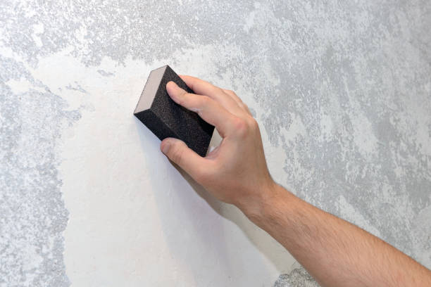 Best Forensic Mold Investigation  in Whispering Pines, NC