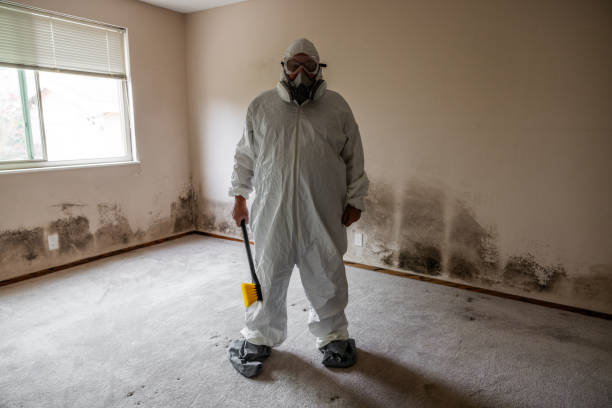 Trusted Whispering Pines, NC Mold Removal Experts